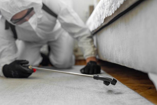 Professional Pest Control technician working in Hamilton County County, OH
